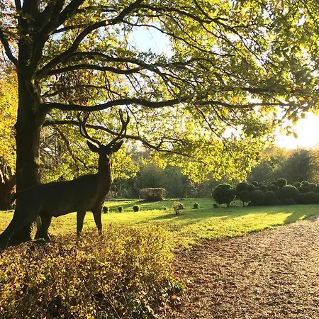 Domaine De Gretot Hugleville-en-Caux
