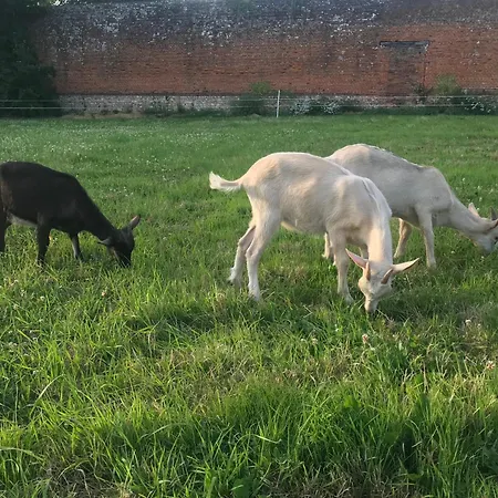 Vakantiehuis Domaine De Gretot *